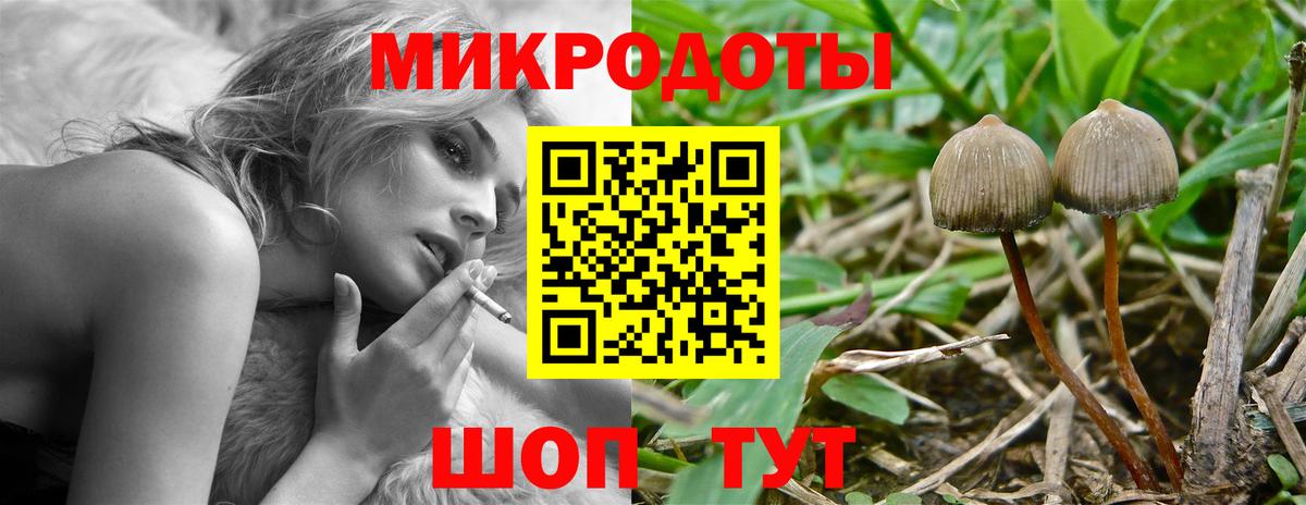 Домодедово  закладка  Вход с VPN  Галлюциногенные грибы Magic Shrooms 